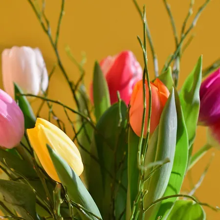 Appartamento Des Tulipes In Parigi
